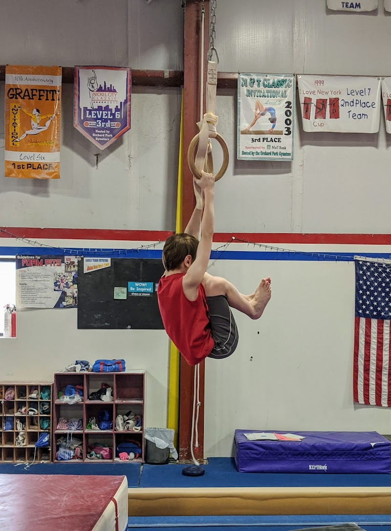 Eagle Gymnastics photo 3