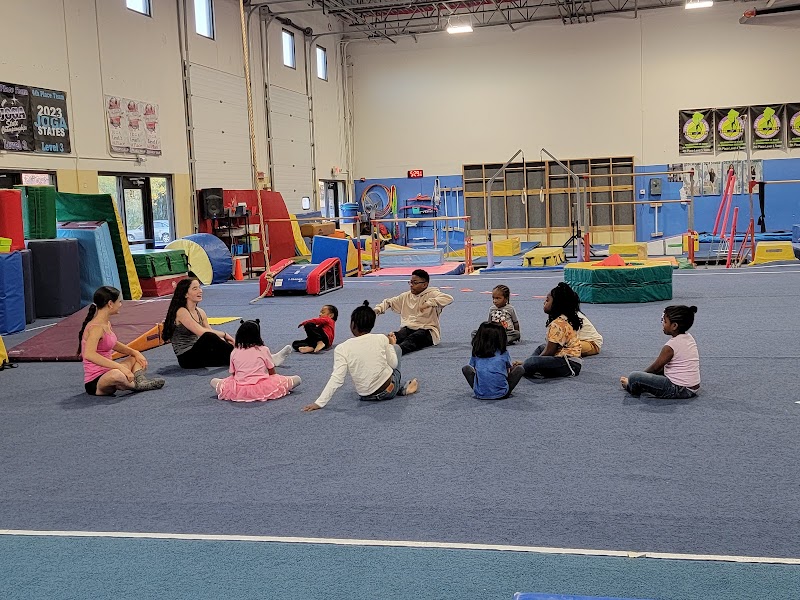 DC Gymnastics School photo 3