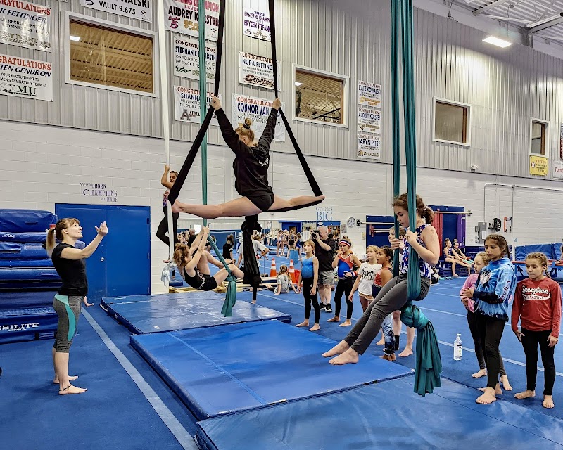 Mid Michigan Gymnastics photo 2