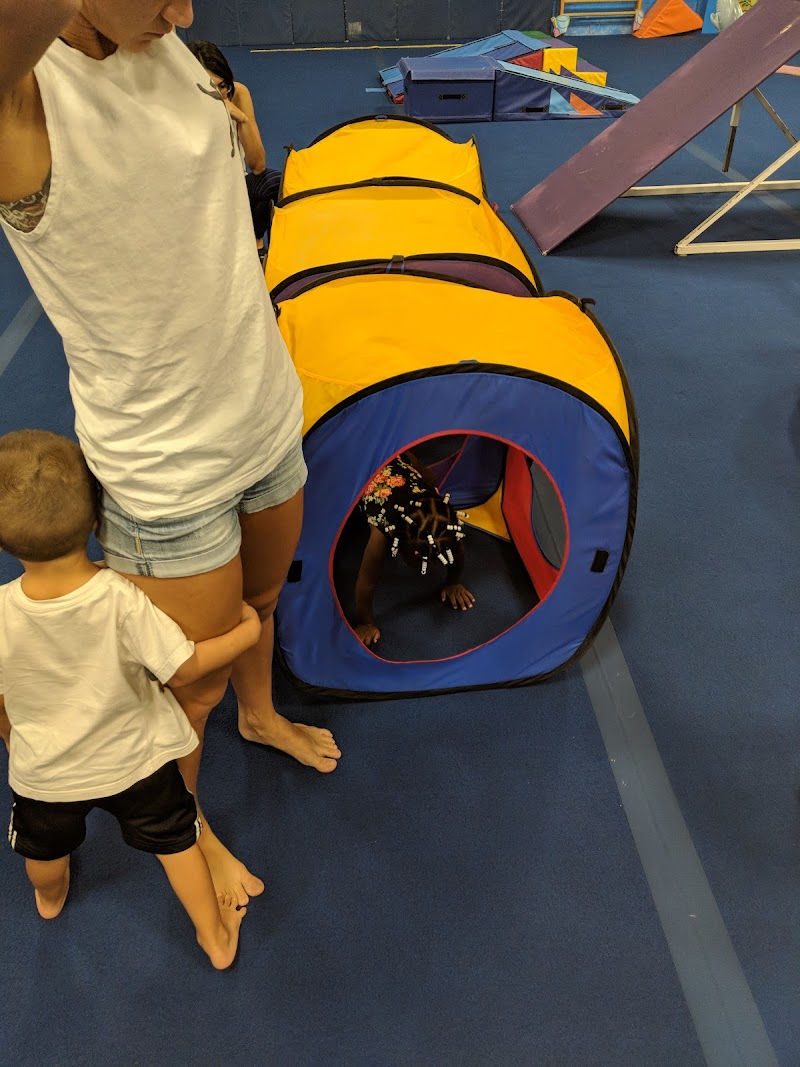 Palm Beach Gymnastics photo 3