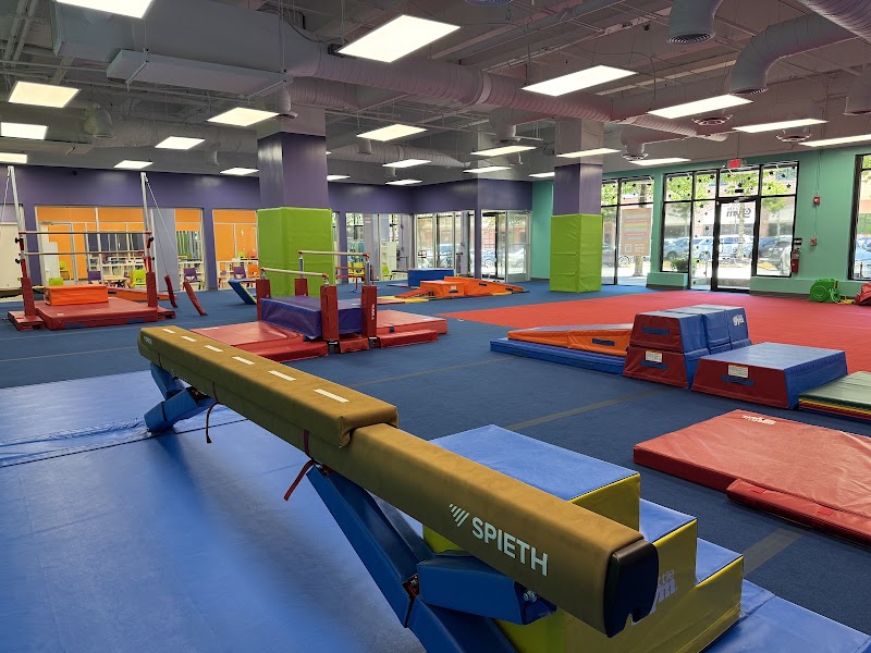 The Little Gym of Brookhaven, GA