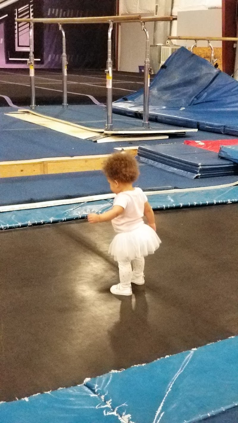Elite Energy Gymnastics photo 2