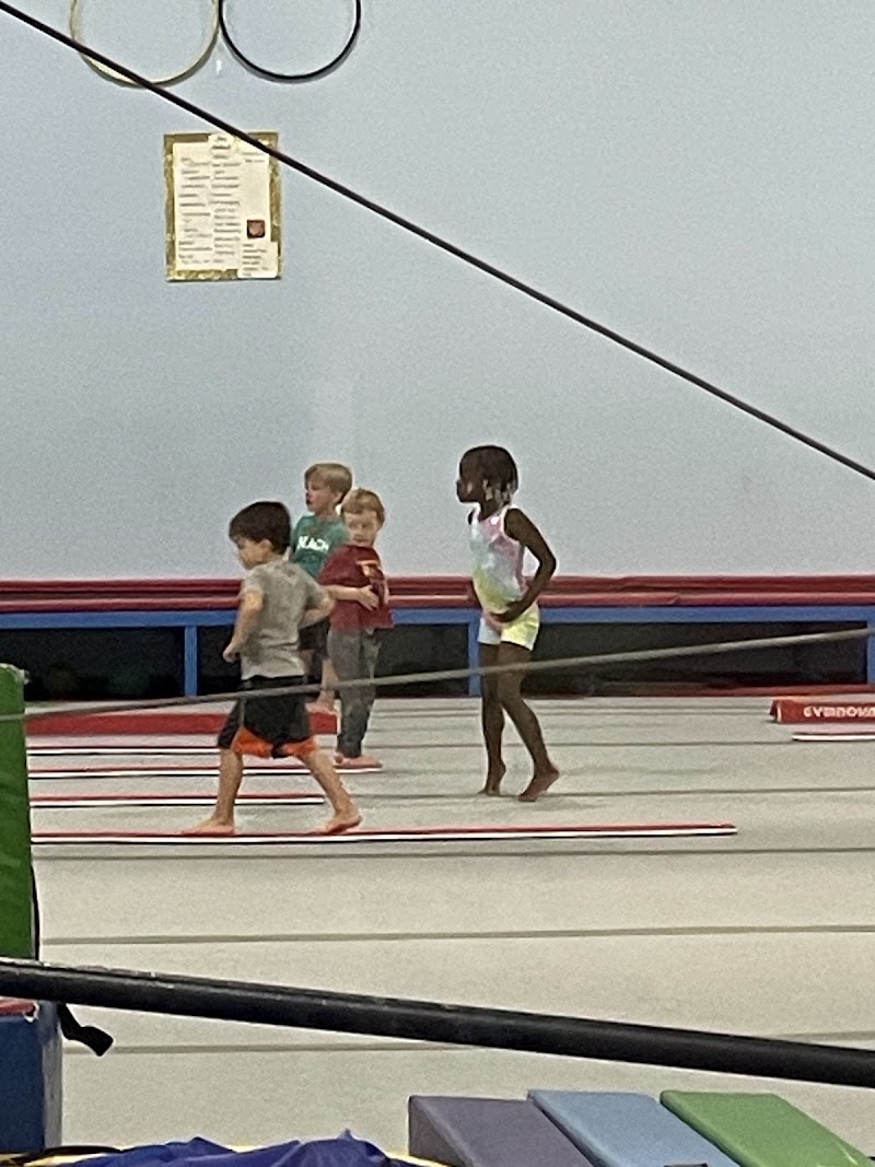 Gold Medal Gymnastics Academy photo 2