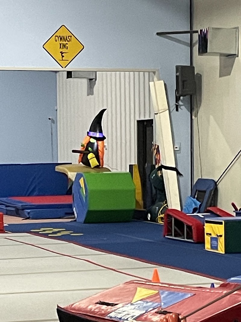 Gold Medal Gymnastics Academy photo 3