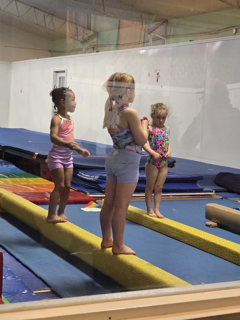 Gonyon's Gymnastics photo 2