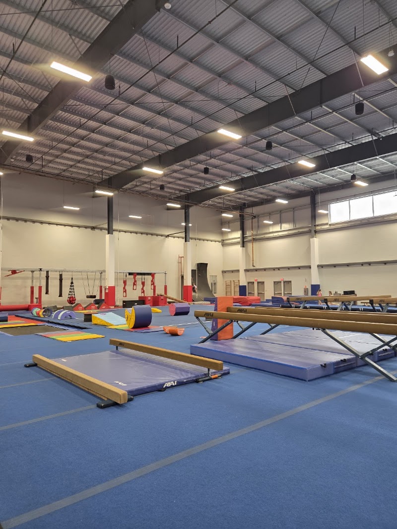 Gym Club photo 2