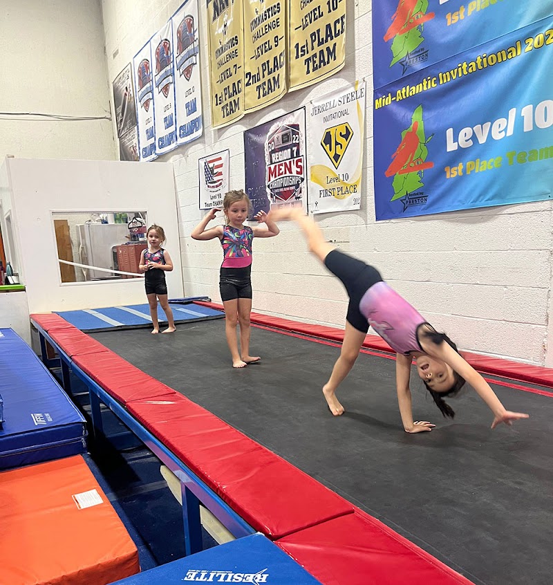 Paragon Gymnastics photo 2