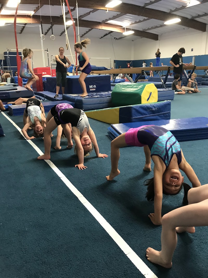 Marin Elite Gymnastics Academy photo 2