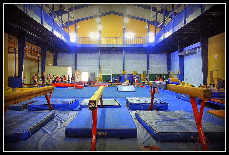 360 Gymnastics LLC photo 2