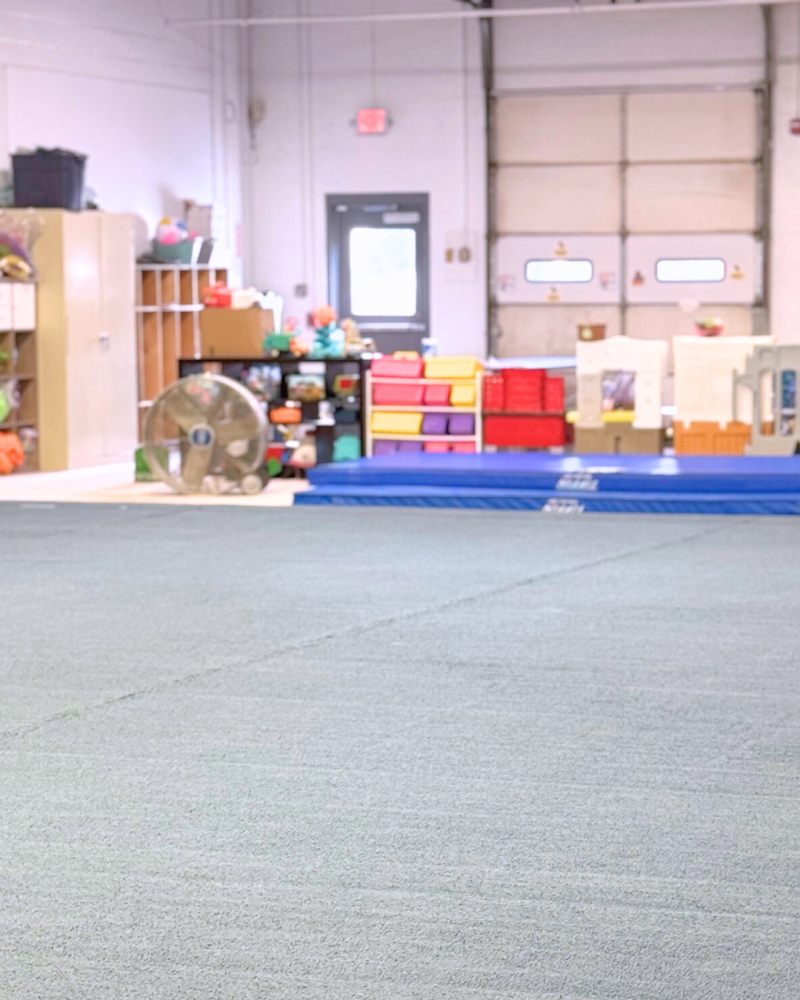 Warriors Academy of Gymnastics photo 2