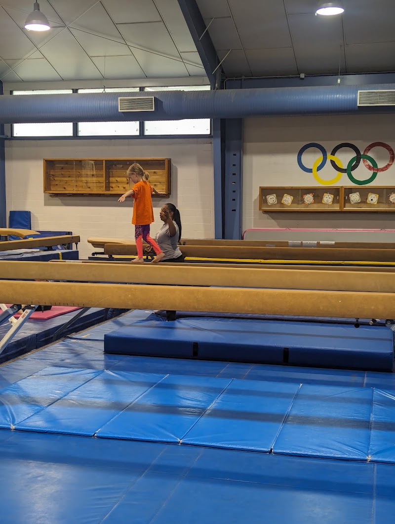 REED PARK GYMNASTICS photo 3