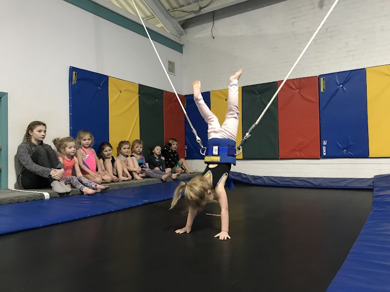 All- Around Gymnastics CenterInc photo 2