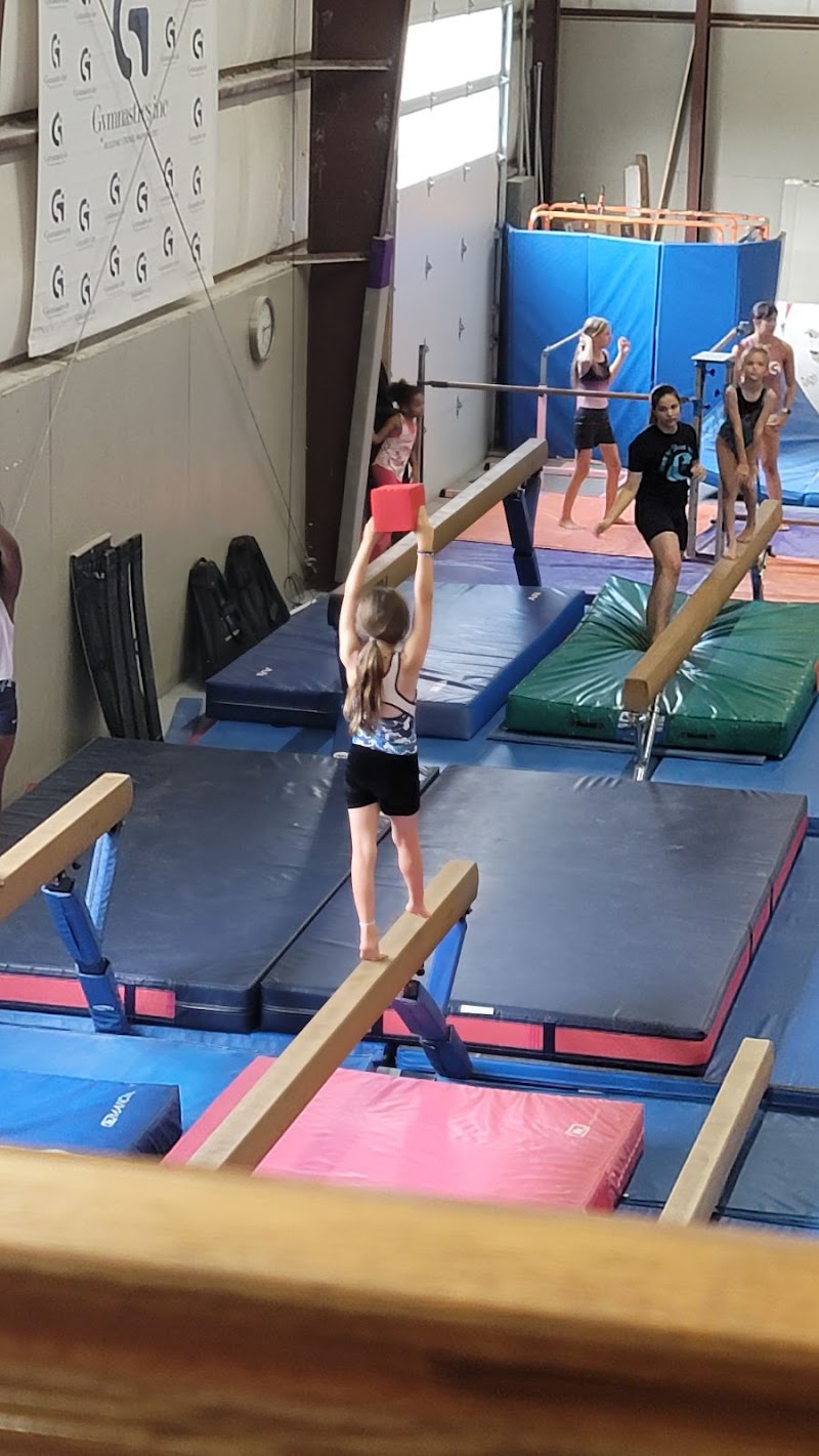 Gymnastics Inc. photo 2