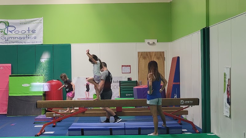 Roots Athletic Center - East Longmeadow photo 3
