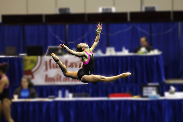 JamJev Gymnastics photo 2
