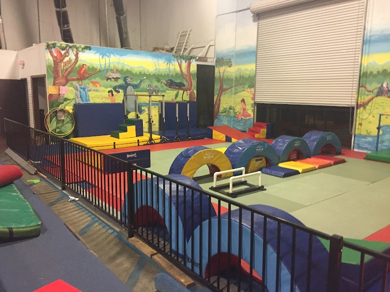International Gymnastics Centre photo 2