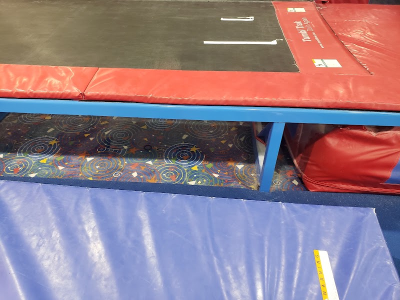 Triumph Gymnastics photo 2