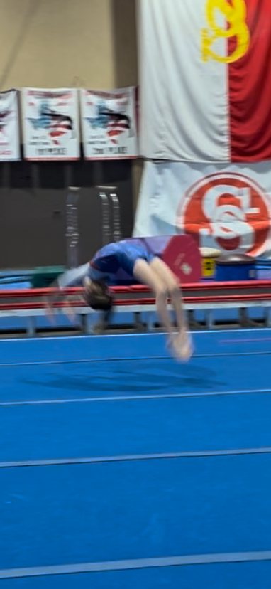 Sokol Fort Worth Gymnastics photo 3