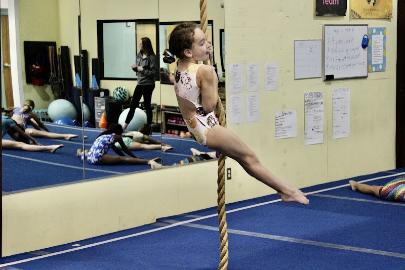 LA Gold Gymnastics photo 2