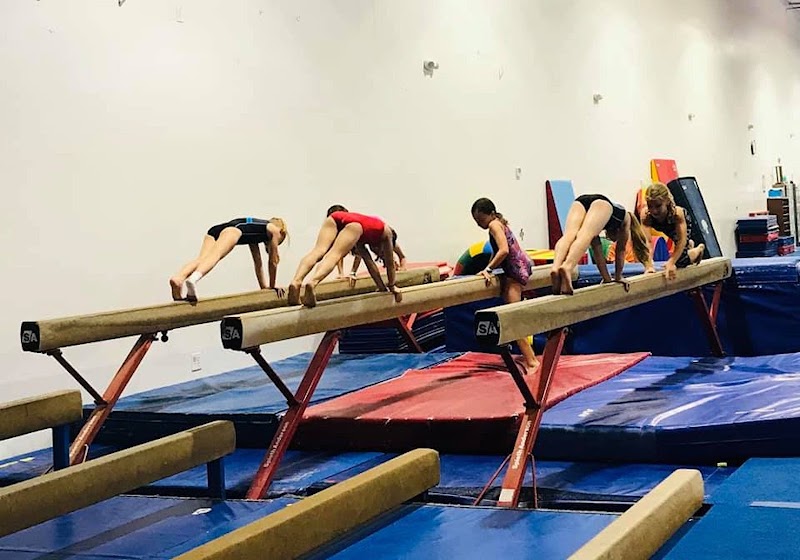 Diamondback Gymnastics photo 3