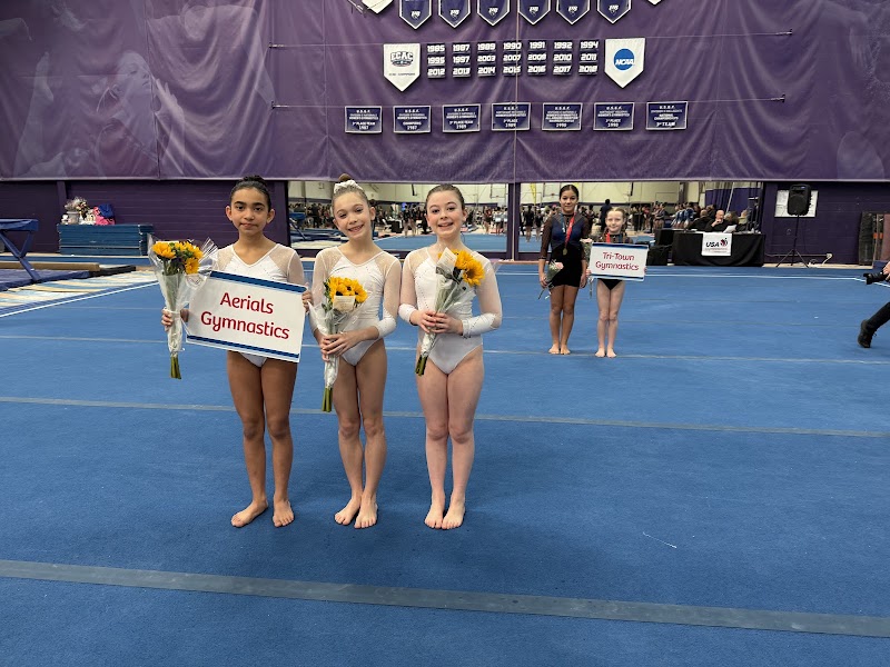 Aerials Gymnastics Newington photo 2