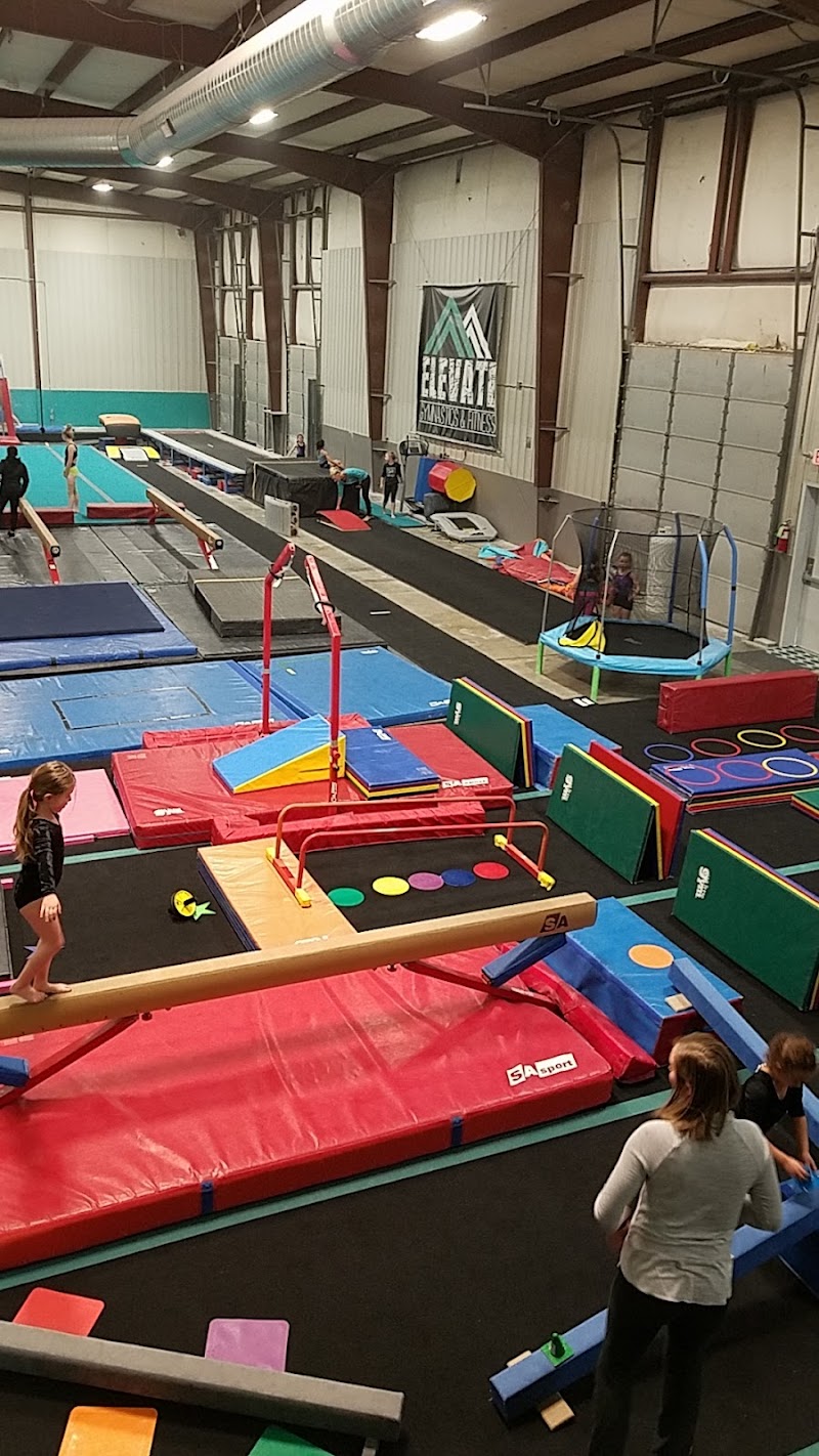 Elevate Gymnastics and Fitness LLC photo 2