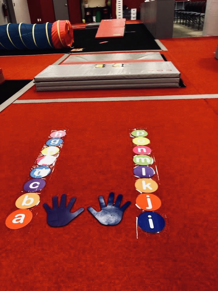 Sterling Gymnastics Academy photo 3