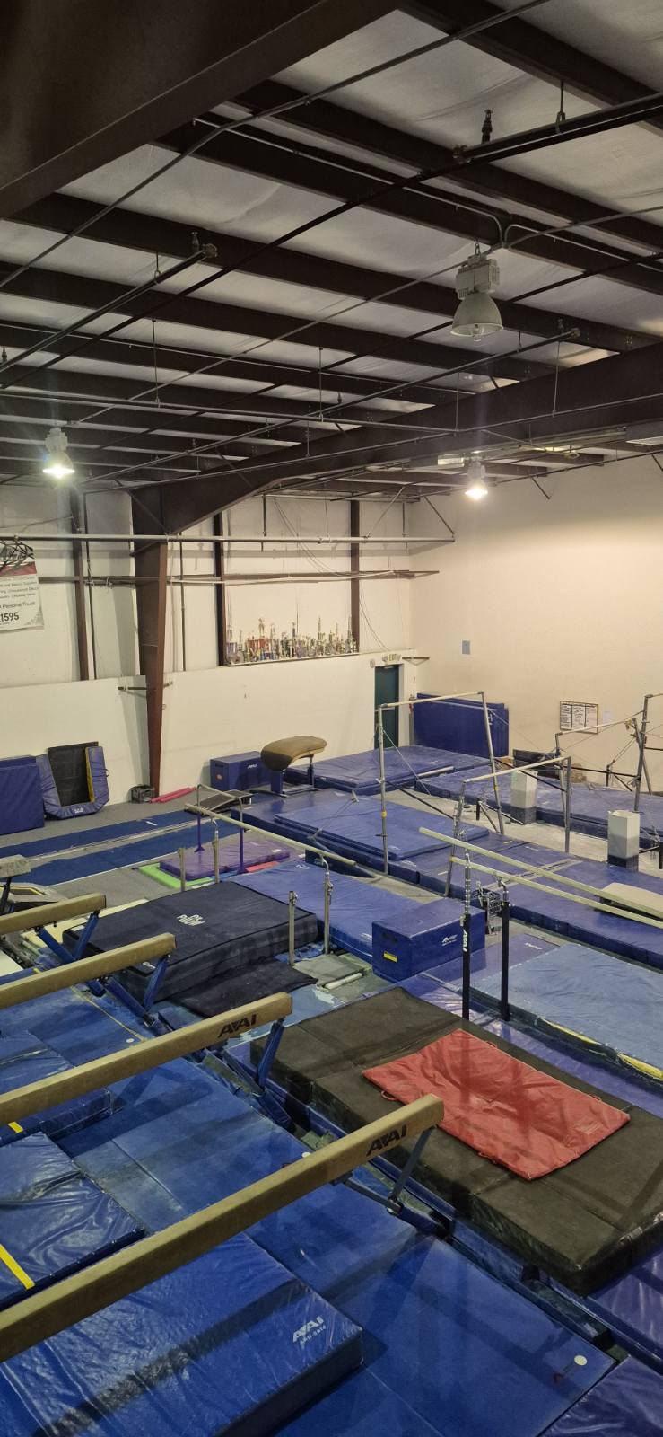 Meridian Academy of Gymnastics Inc.