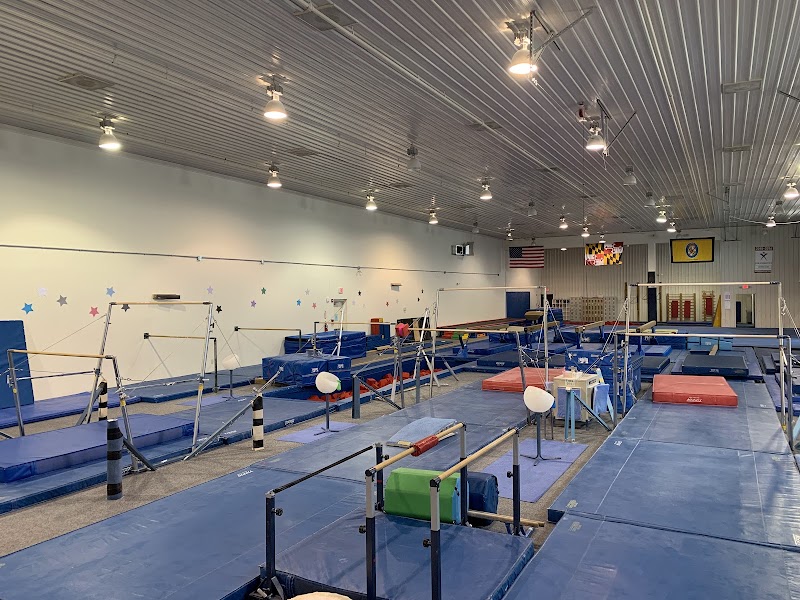 Elite Gymnastics
