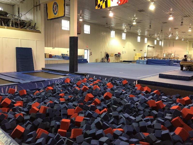 Elite Gymnastics photo 2