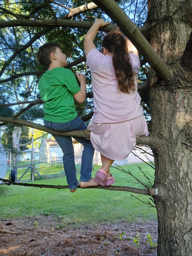 Johnson Dance and Gymnastics Inc photo 2
