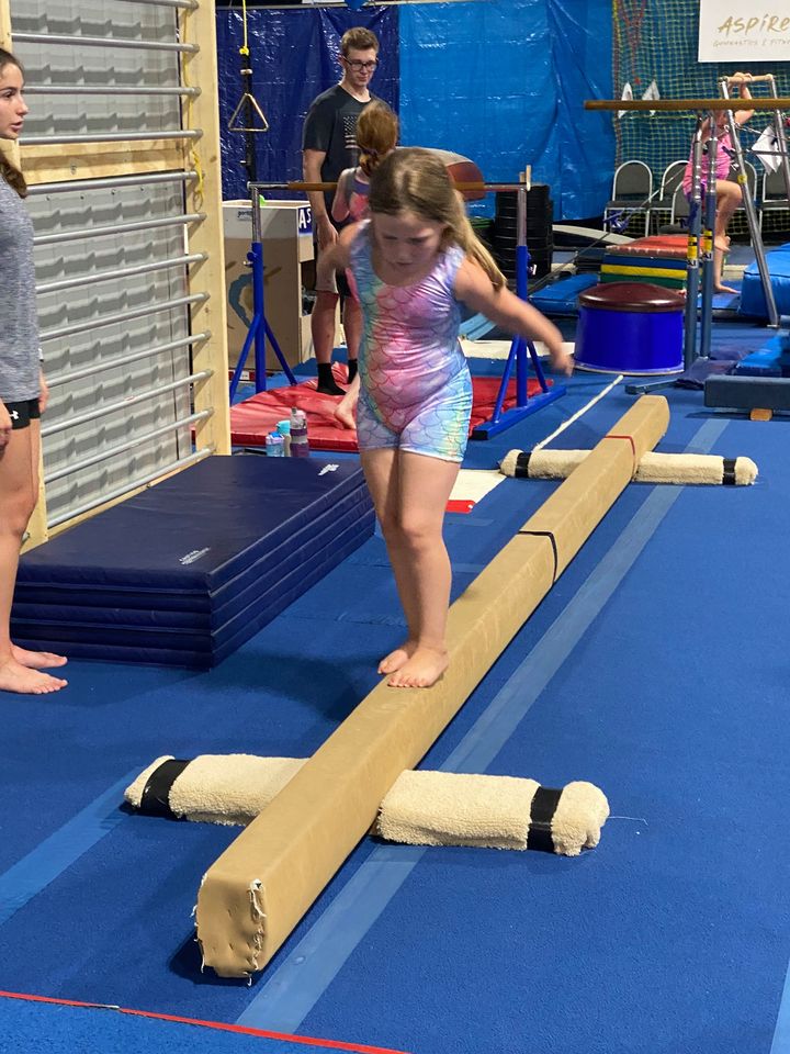 Aspire Gymnastics & Fitness photo 3