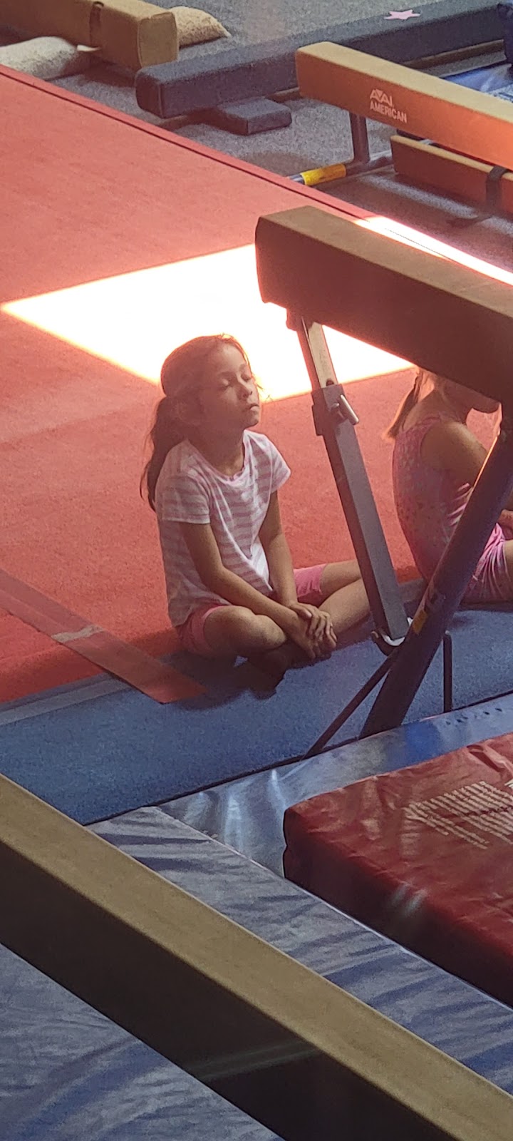 Racine Gymnastics Center photo 3