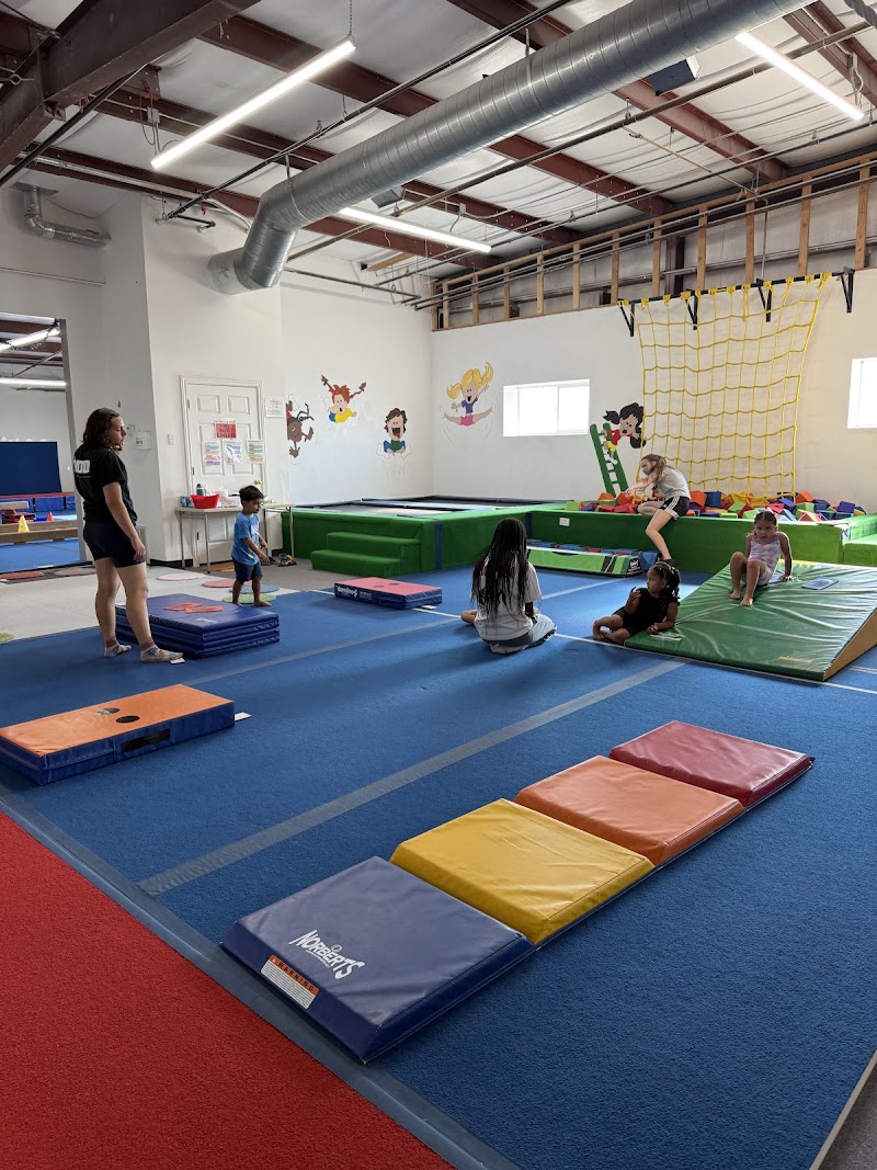 Bold Gymnastics