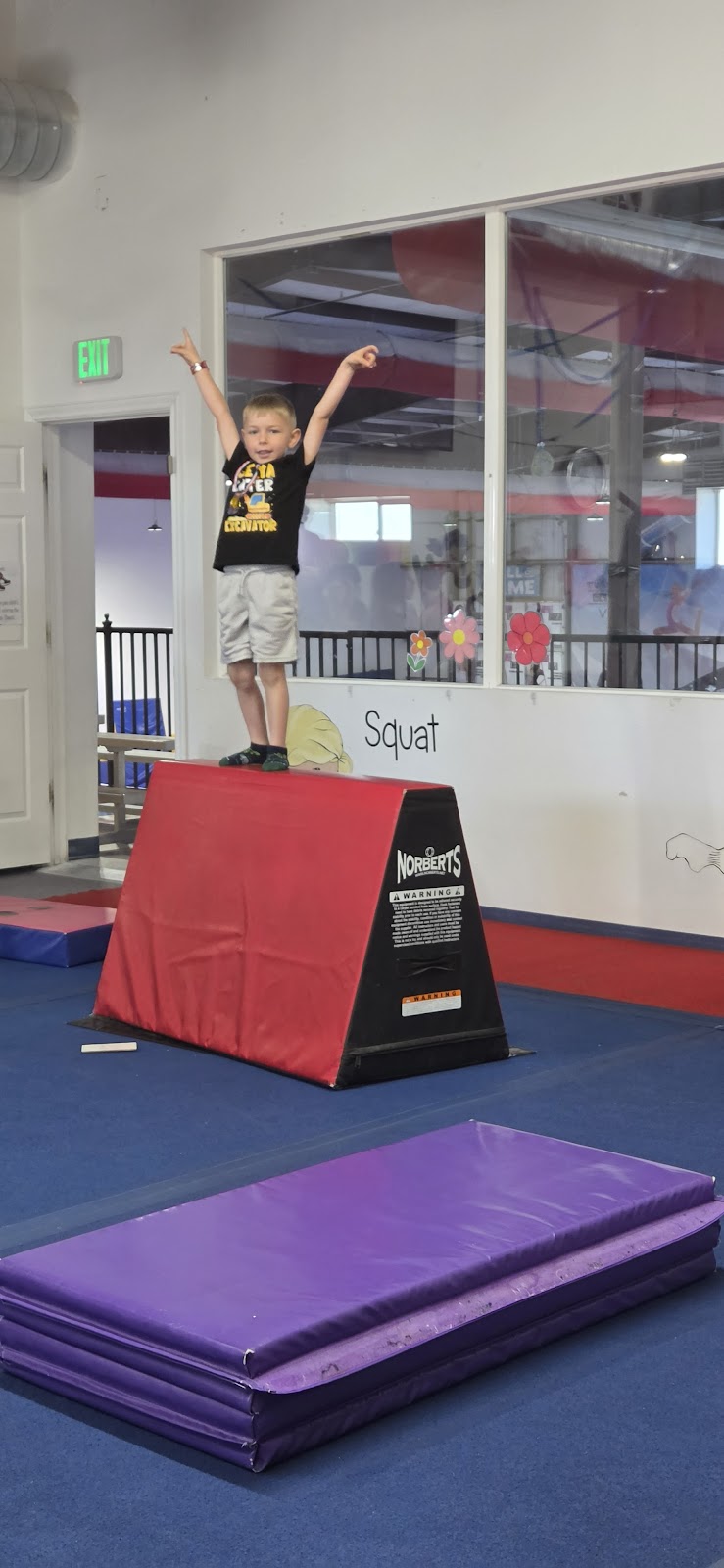 Bold Gymnastics photo 2