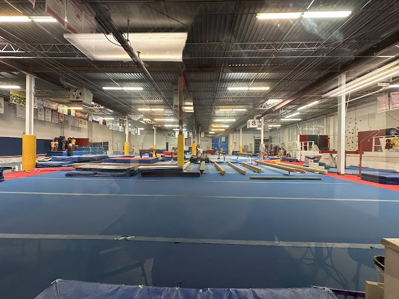 American Academy of Gymnastics photo 3