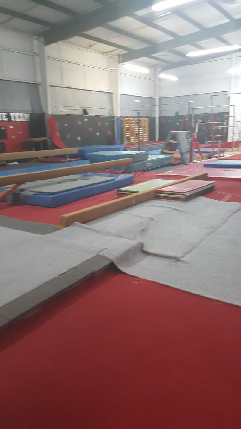 Mojo Elite Gym Training Ctr. photo 3