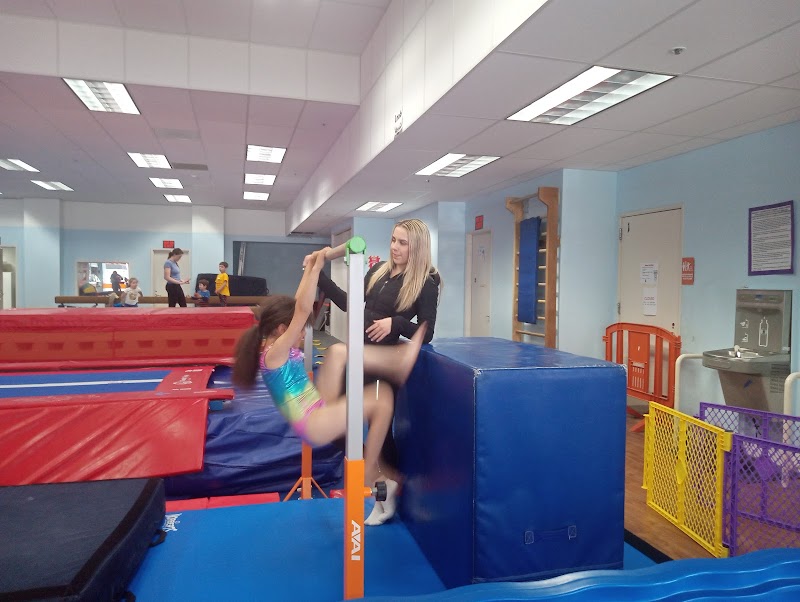 San Francisco Gymnastics photo 2