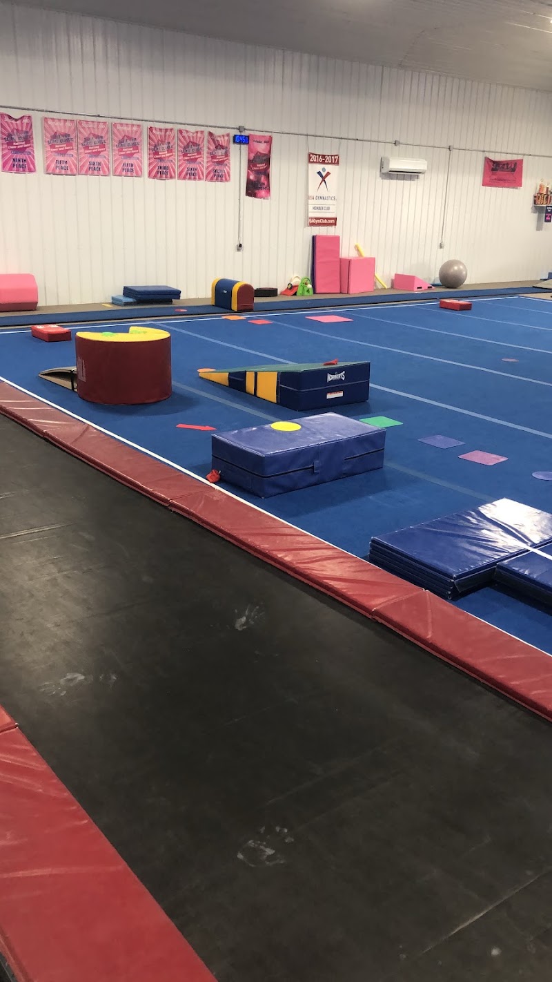 Moxie Gymnastics photo 2
