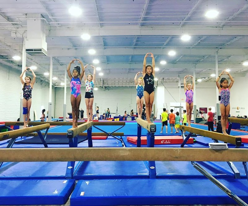 VIBE Gymnastics photo 2
