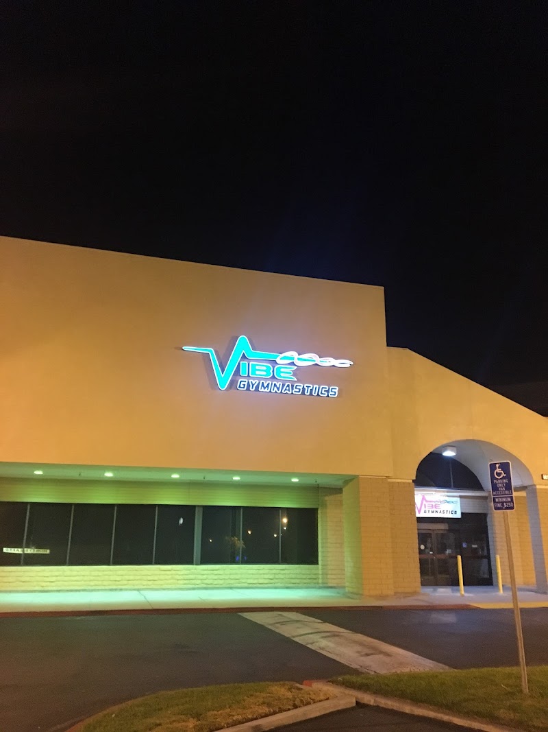 VIBE Gymnastics photo 3