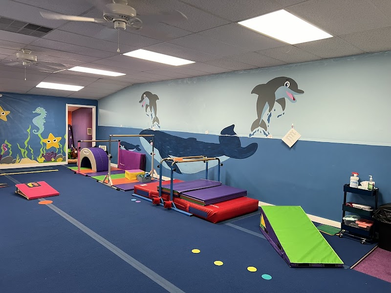 The Artistic Gymnastics Institute photo 2