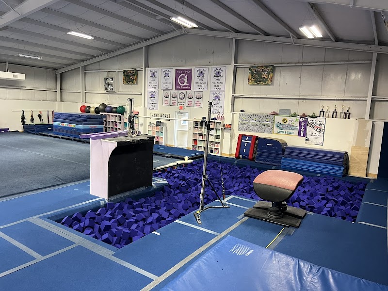 The Artistic Gymnastics Institute photo 3