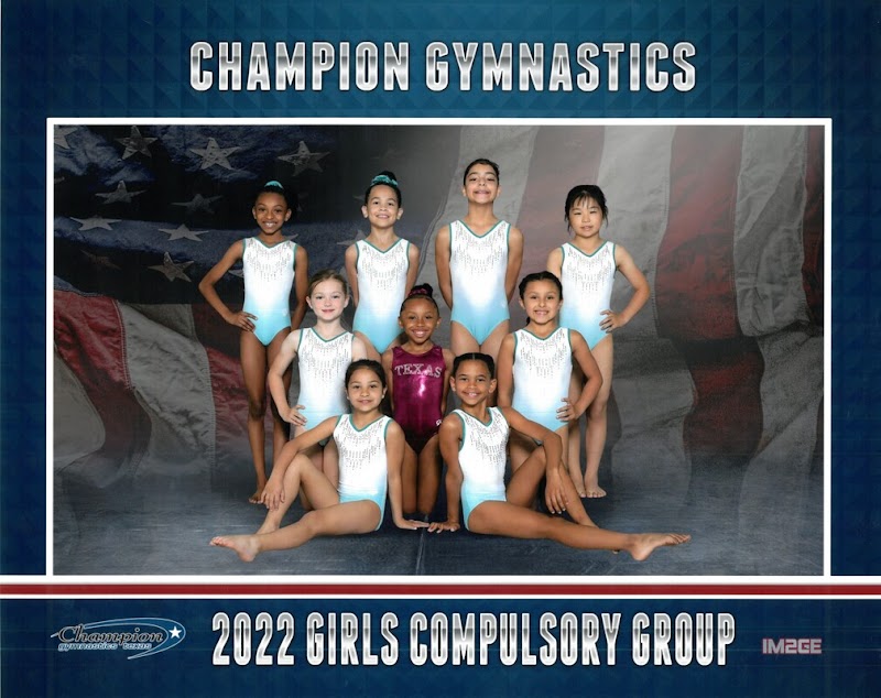 Champions Gymnastics photo 3