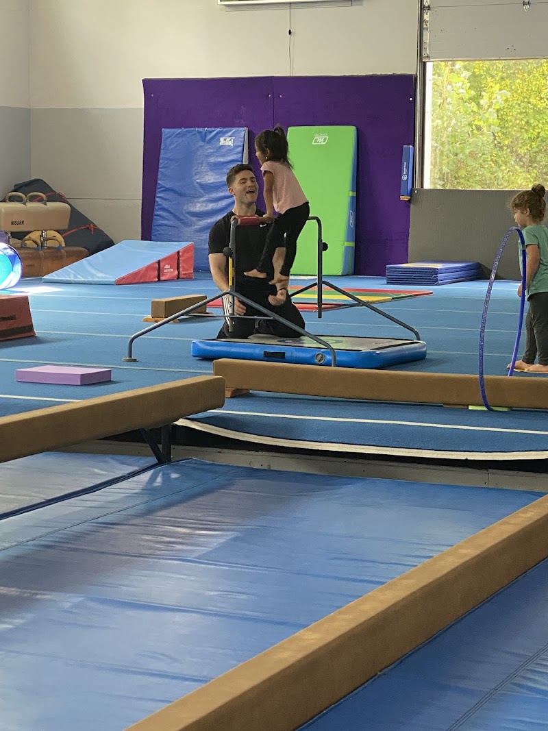 American School of Gymnastics photo 2