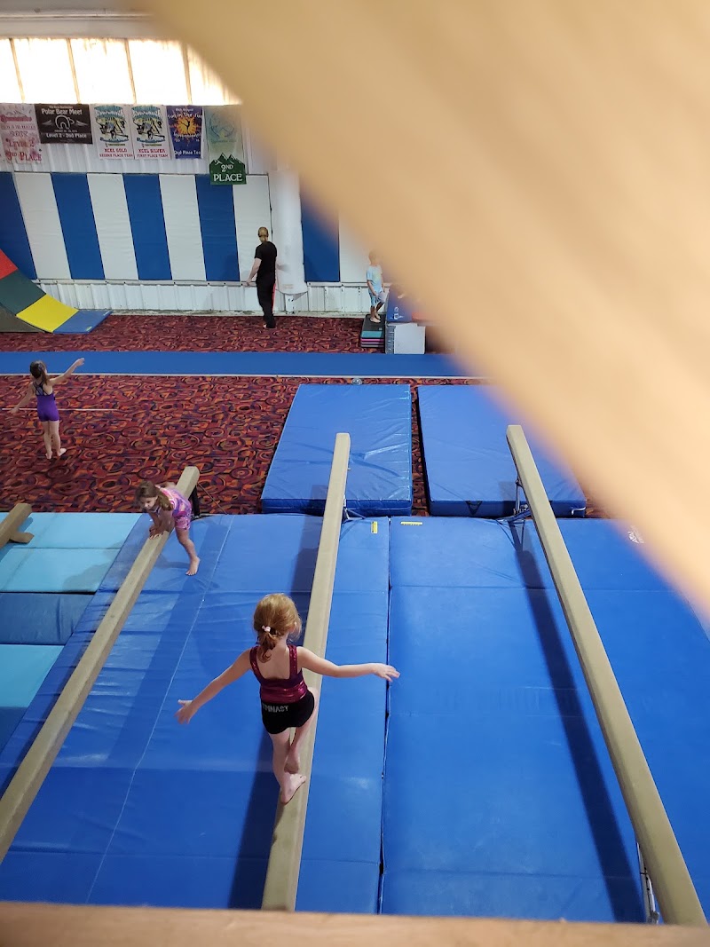 MV Gymnastics photo 2
