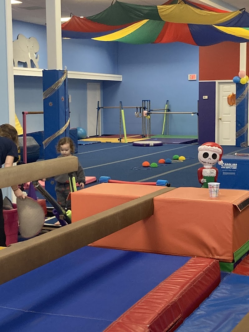 Lumberton Gymnastics Academy Inc. photo 2