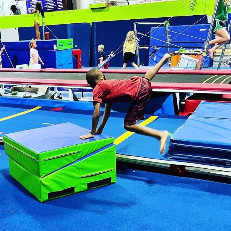 ARK Wings Gym photo 3