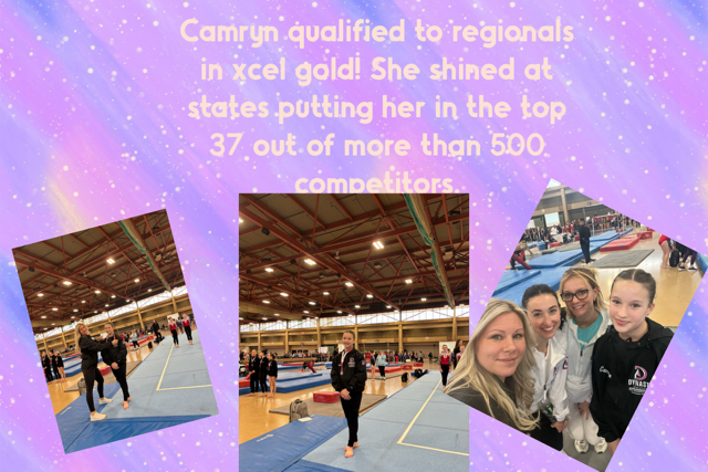 Dynasty Athletics NY photo 3