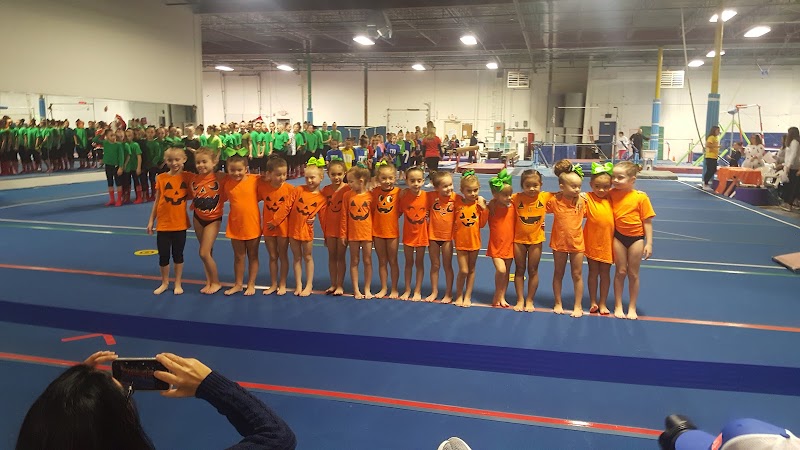 Valley Gymnastics Training Center  Inc. photo 3